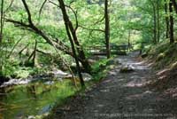 Go to bigger picture